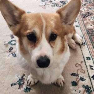 Meet your Posher, Kelsey